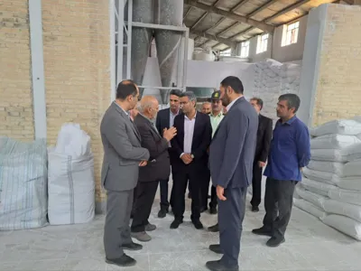کارخانه تولید نشاسته و گلوتن هدیه ندوشن