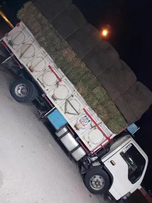 باربری در قشم