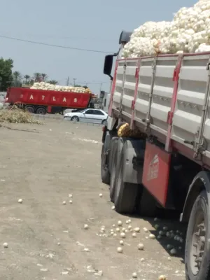 باربری عالی در قشم