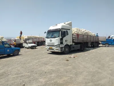 باربری در قشم