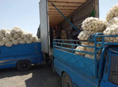 بهترین باربری در قشم