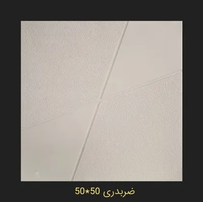 ضبدری