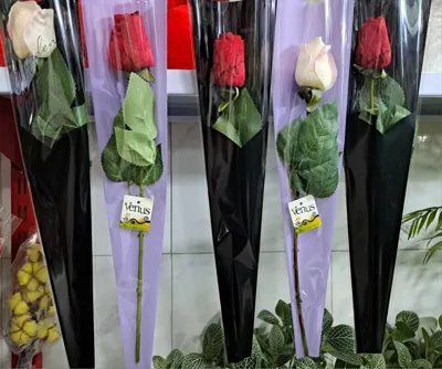ارزان ترین گل فروشی کرج