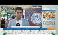 زهرا محمدی وصالپور 
