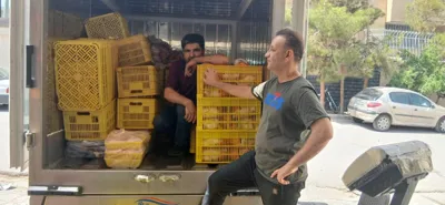 فروشگاه مرغ امین