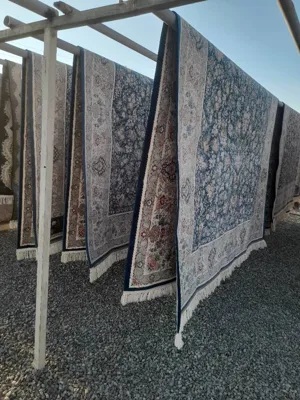 قالیشویی در صالحیه