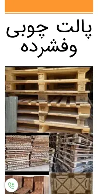 زهره جلالی&nbsp;