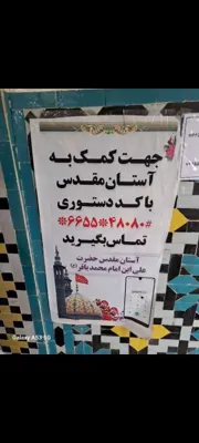 عاطفه حبیبی 