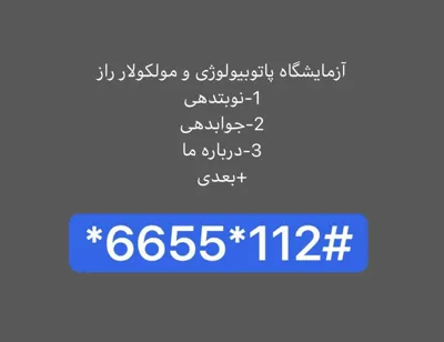 عاطفه حبیبی 