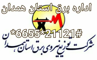 عاطفه حبیبی 