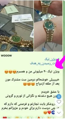 عاطفه حبیبی 