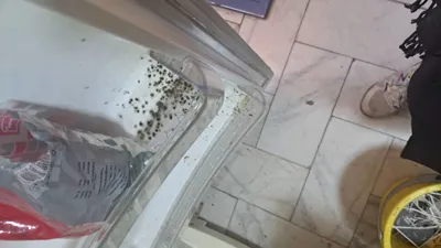 رزرو آنلاین نظافت منزل در اصفهان