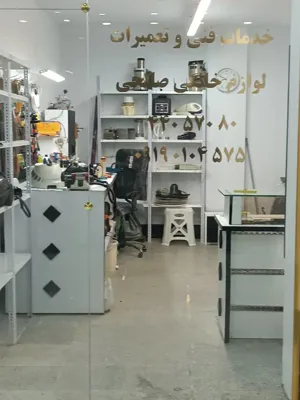 نماینگی مجاز فیلیپس