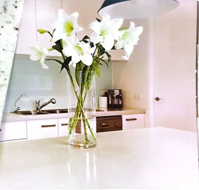 تولید صفحه کابینت در جیرفت