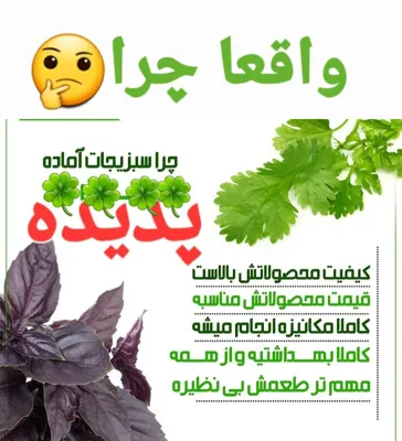 سبزیجات آماده پدیده
