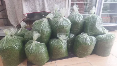 سبزیجات آماده پدیده