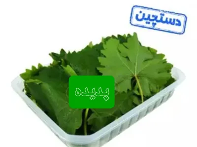 سبزیجات آماده پدیده