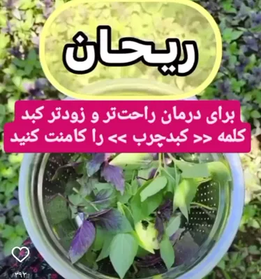 سبزیجات آماده پدیده