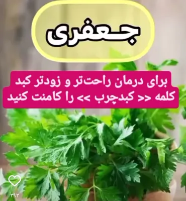 سبزیجات آماده پدیده