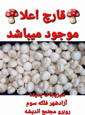 سبزیجات آماده پدیده
