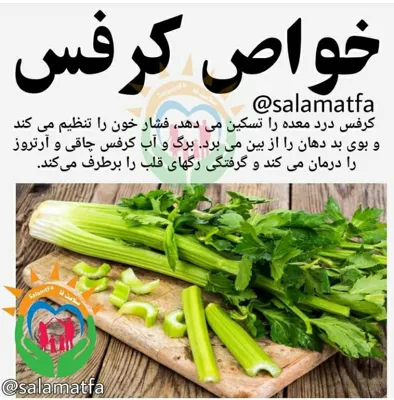 سبزیجات آماده پدیده