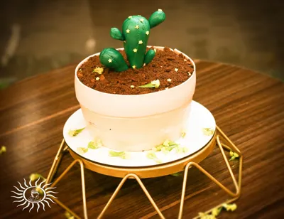 کافه کیک پانته آ