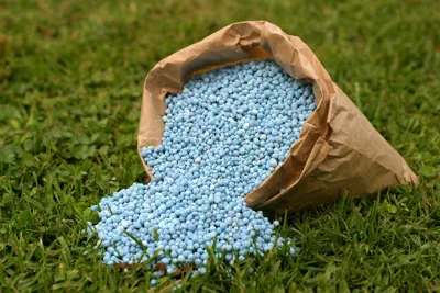 کود ورمی کمپوست