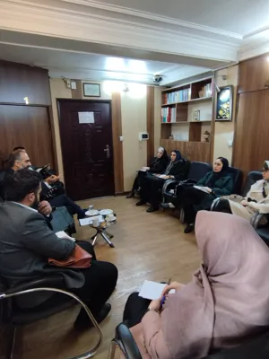 فریبا محمد
وکیل پایه یک دادگستری 