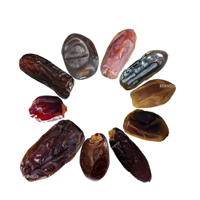 انواع خرما