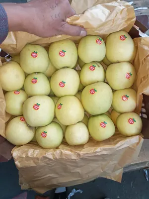 ترخیص کالا در گمرک لطف آباد