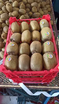ترخیص کالا در گمرک لطف آباد