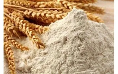 HEDEYA NADOSHAN STARCH AND GLUTEN PRODUCTION FACTORY