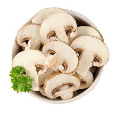 پرورش قارچ دکمه ای با مدرک فنی حرفه ای 
