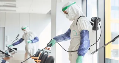 سمپاشى سوسك كابينتى در تهران