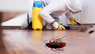 سمپاشى سوسك كابينتى در تهران