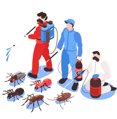 سمپاشى سوسك كابينتى در تهران