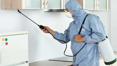 سمپاشى سوسك كابينتى در تهران