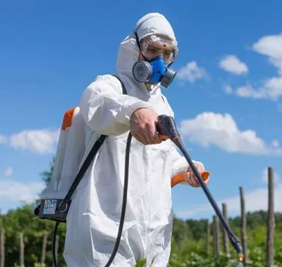 سمپاشى سوسك كابينتى در تهران