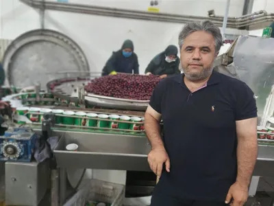 رضا ذبیحی