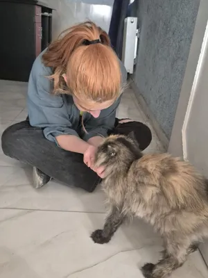 بهار رحمانی