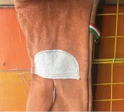 فروشگاه هارنس  در اهواز