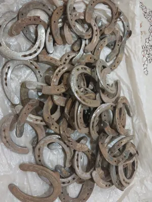 افزایش رزق و روزی فراوان