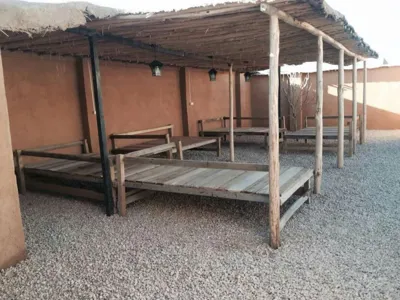 خرید کاهگل مصنوعی