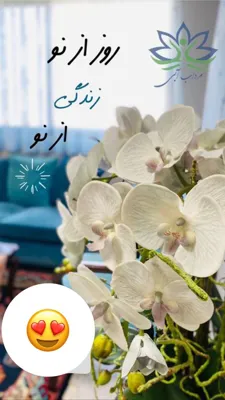 ماساژ ریلکسی در اصفهان