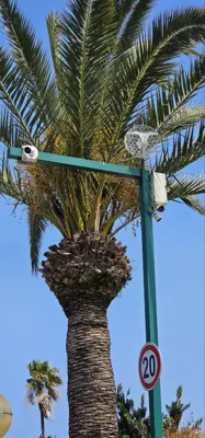 دریاشهر