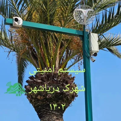 شرکت بام سفید نور