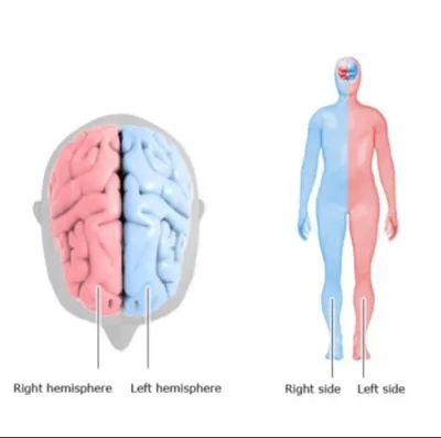 خدمات ما شامل اسکن کامل مغز و اسکن کامل بدن 