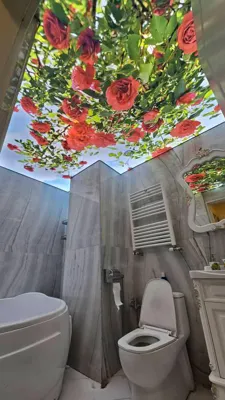 سقف کشسان در اصفهان