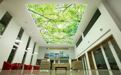 متنوع ترین سقف های کشسان در اصفهان