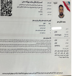 طلا سازی شایان